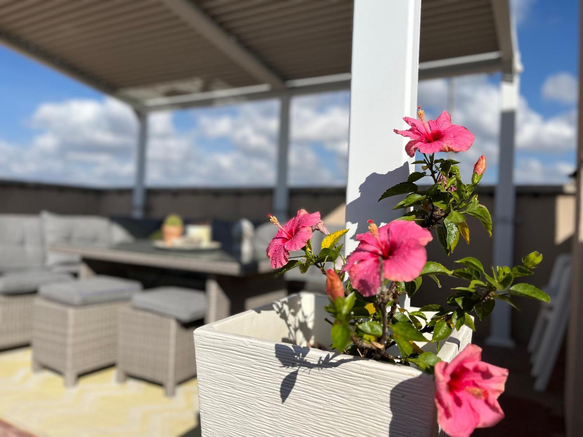 Apartament La Azotea Cambrils Zewnętrze zdjęcie