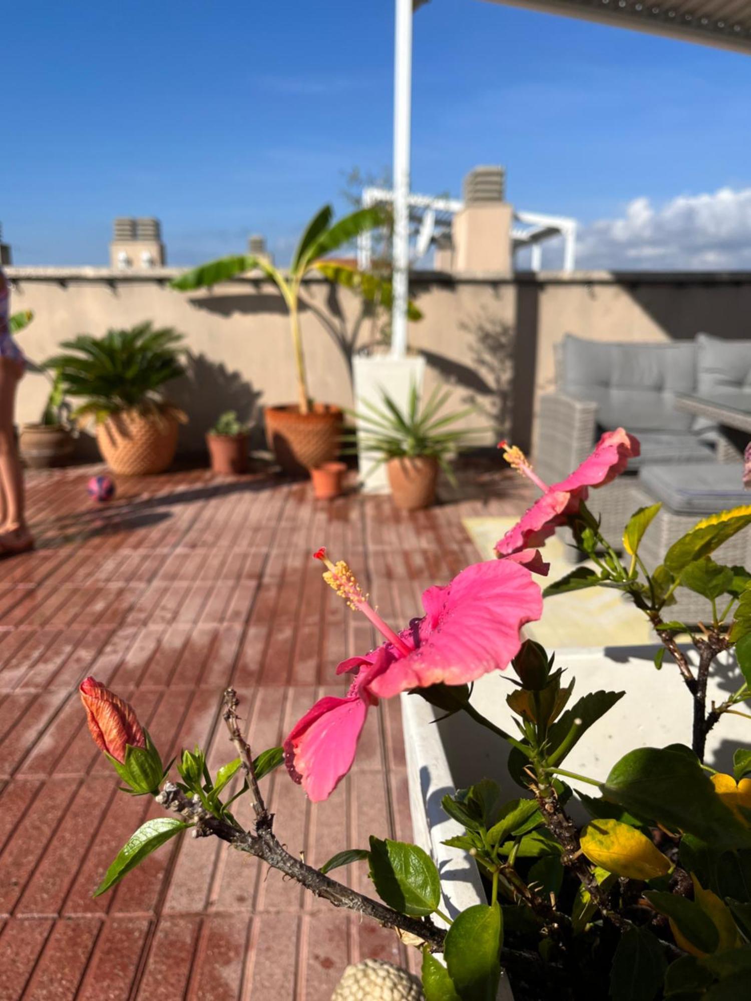 Apartament La Azotea Cambrils Zewnętrze zdjęcie